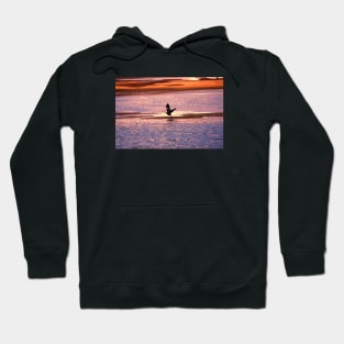 Flight of the Heron Hoodie